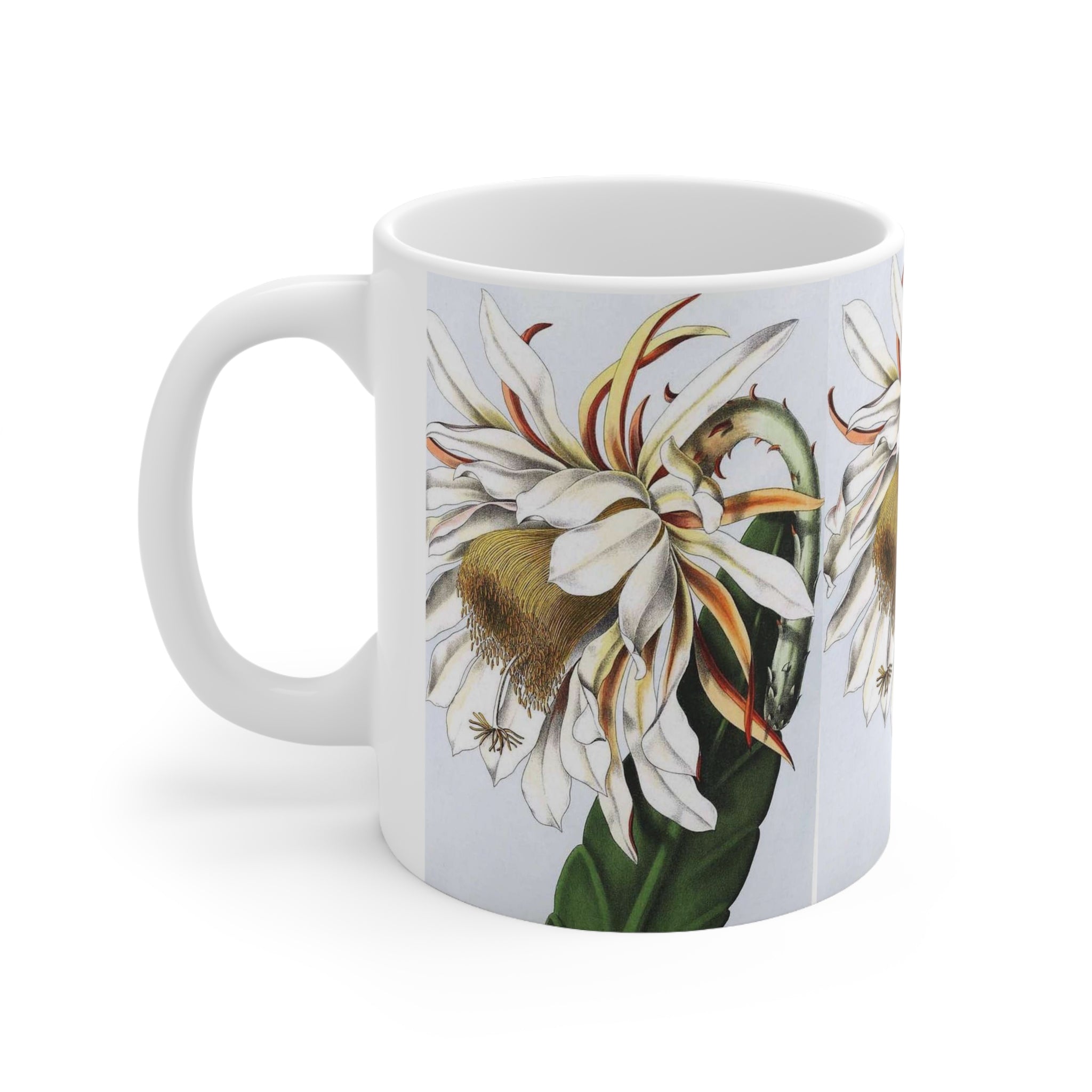 Vintage Flower Botanical [Epiphyllum-Thomasianum] Print Ceramic Mug 11oz